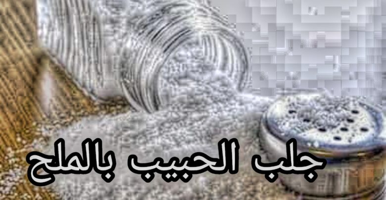 جلب الحبيب في ساعة بالملح